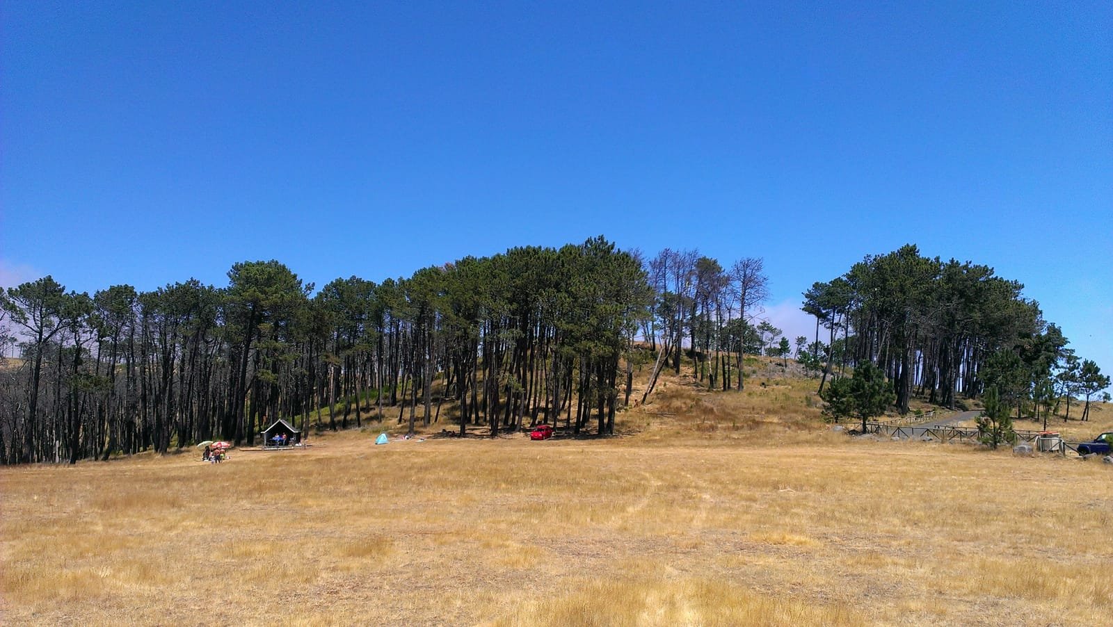 Chão da Lagoa 11