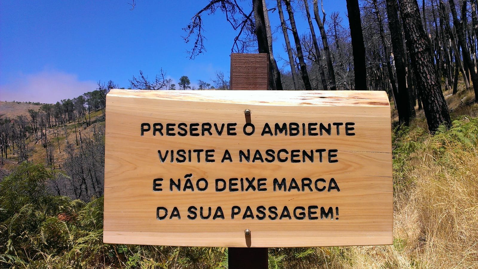 Chão da Lagoa 5