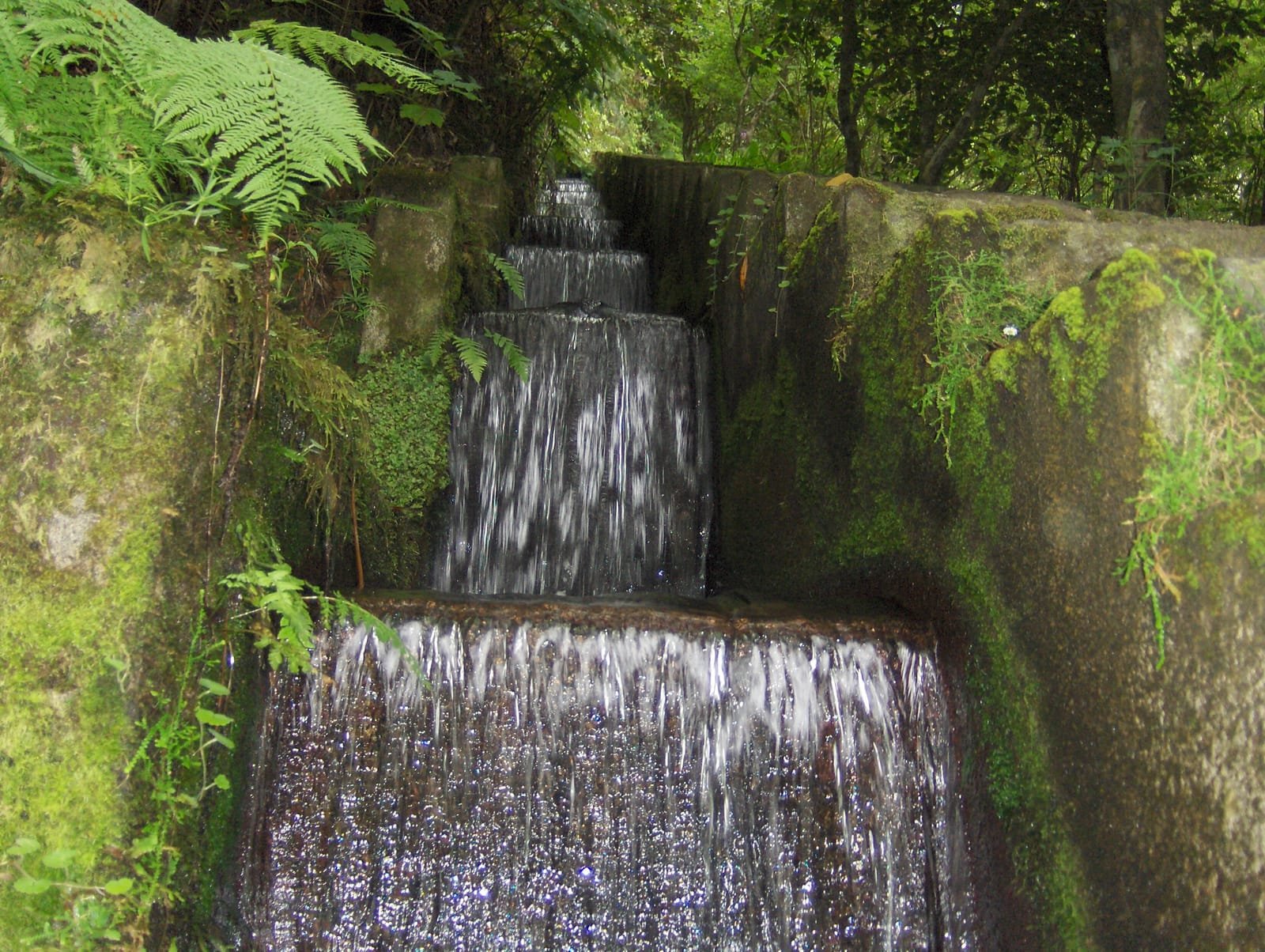 Ribeiro Frio 7