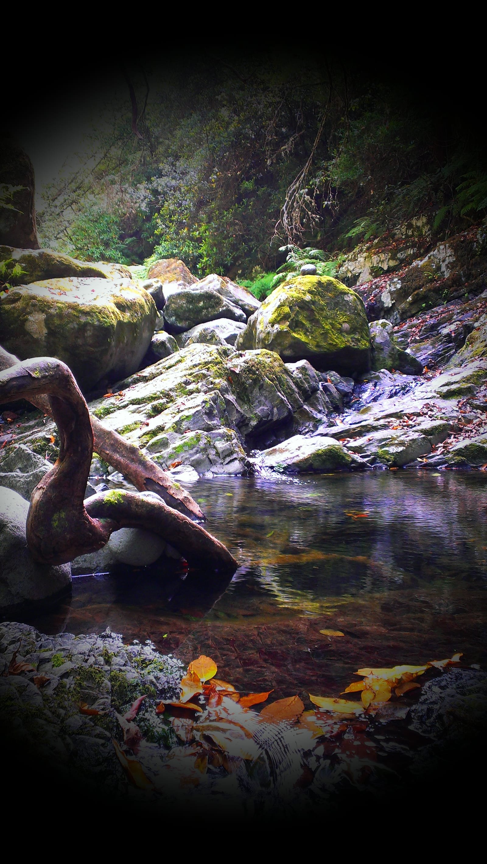 Ribeiro Frio 6