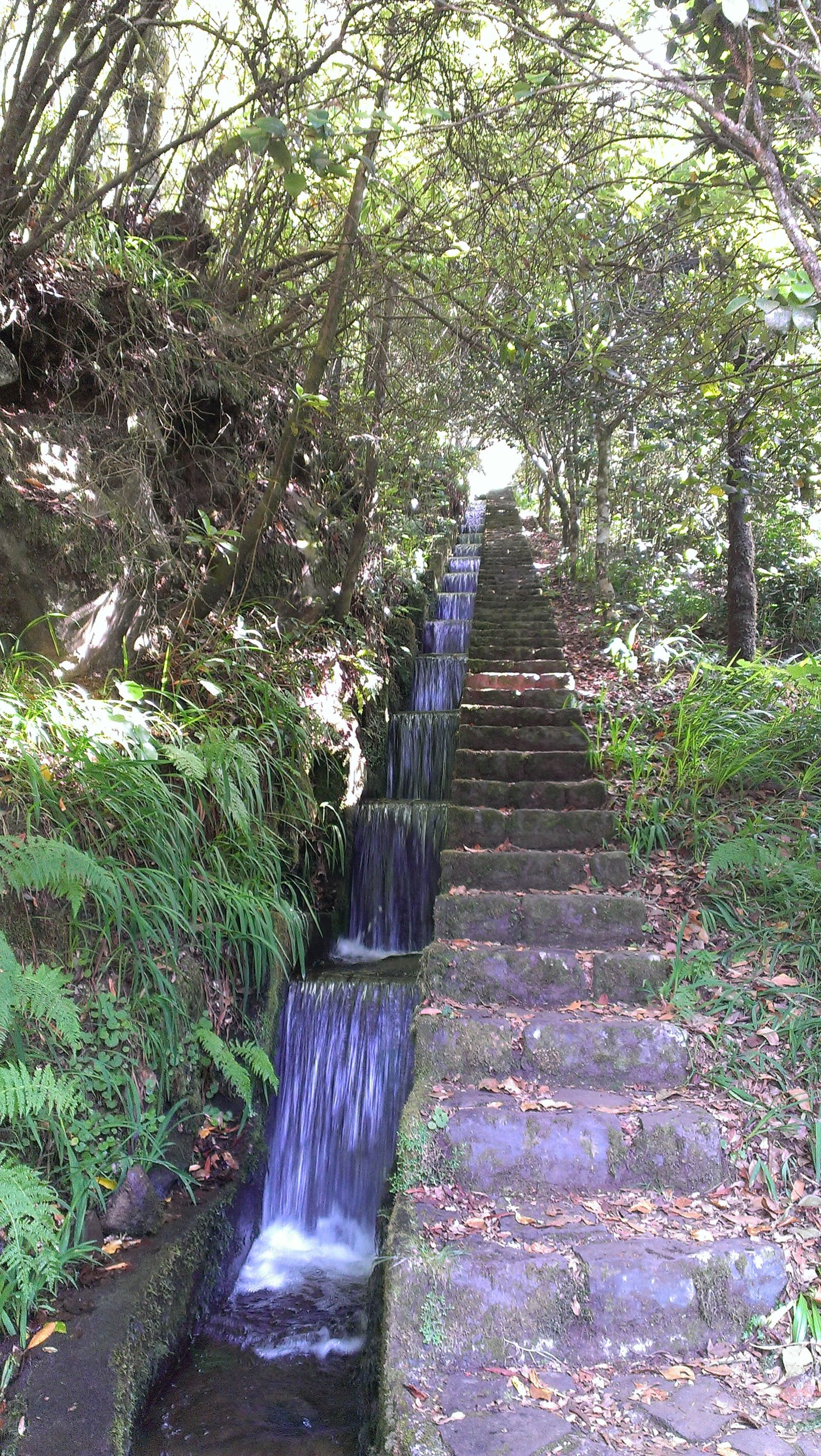 Ribeiro Frio 8
