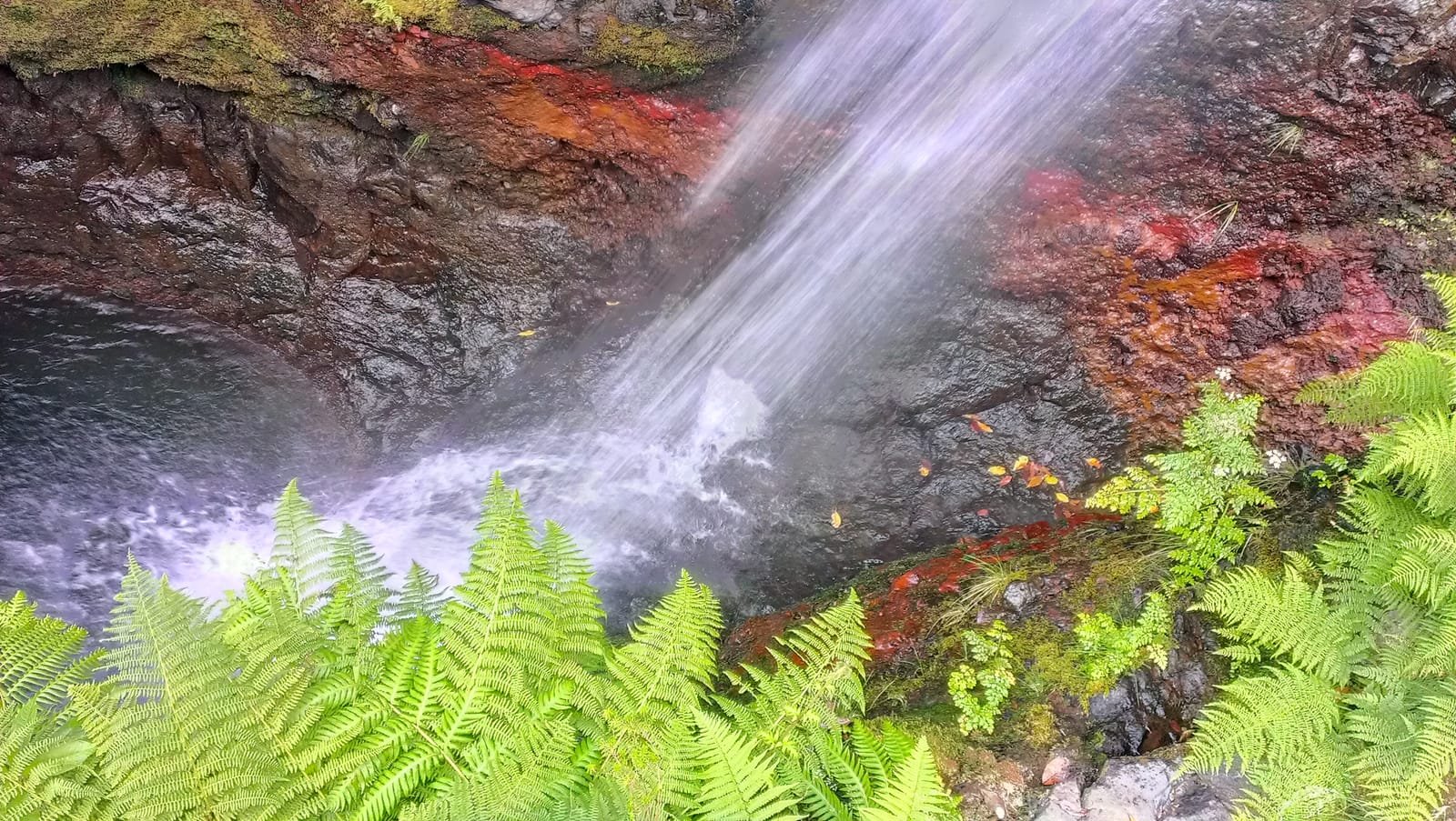 Ribeiro Frio 10