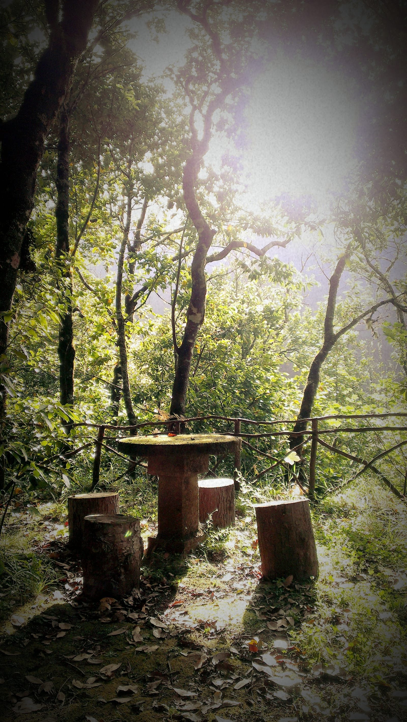 Ribeiro Frio 4