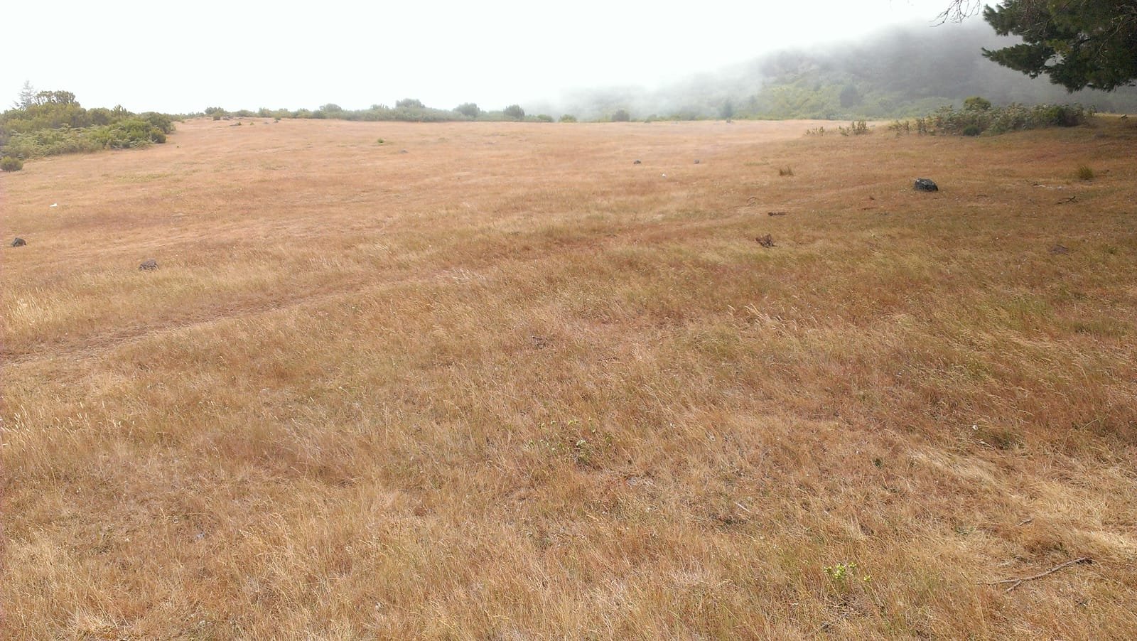 Chão do Pasto 2