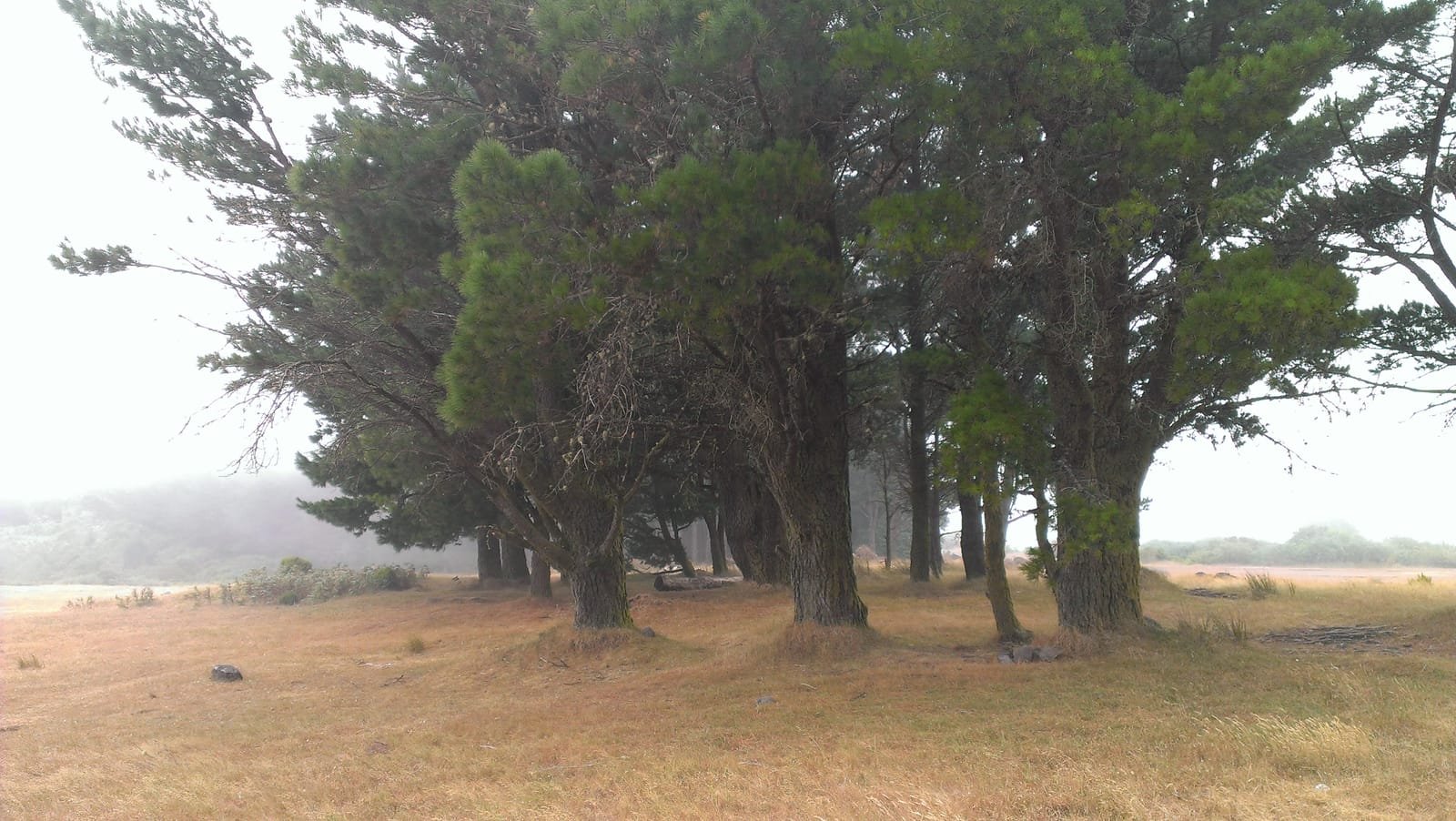 Chão do Pasto 3