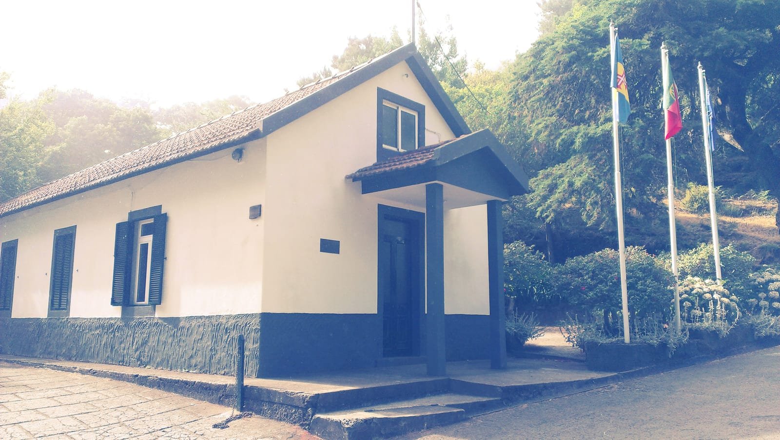 Montado do Pereiro 5