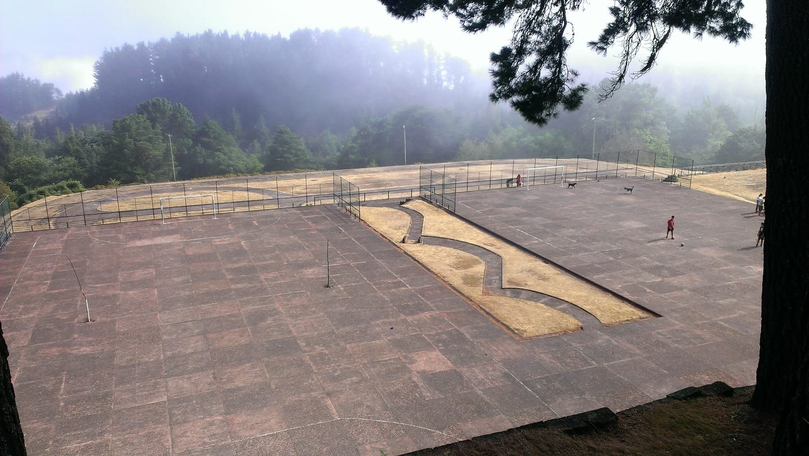 Montado do Pereiro 6