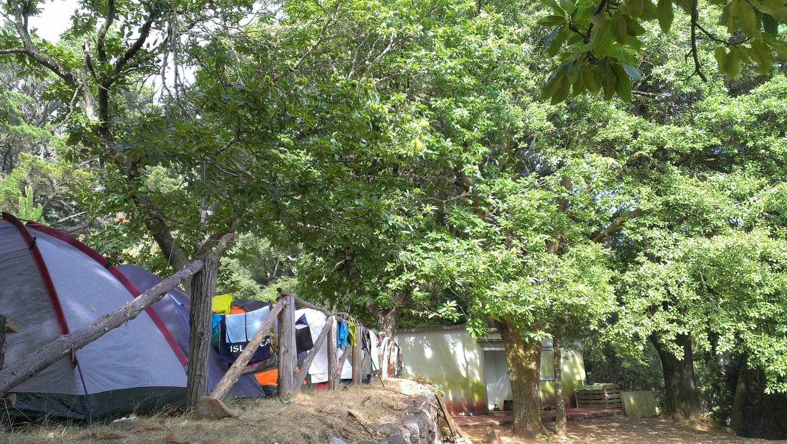 Montado do Pereiro 14