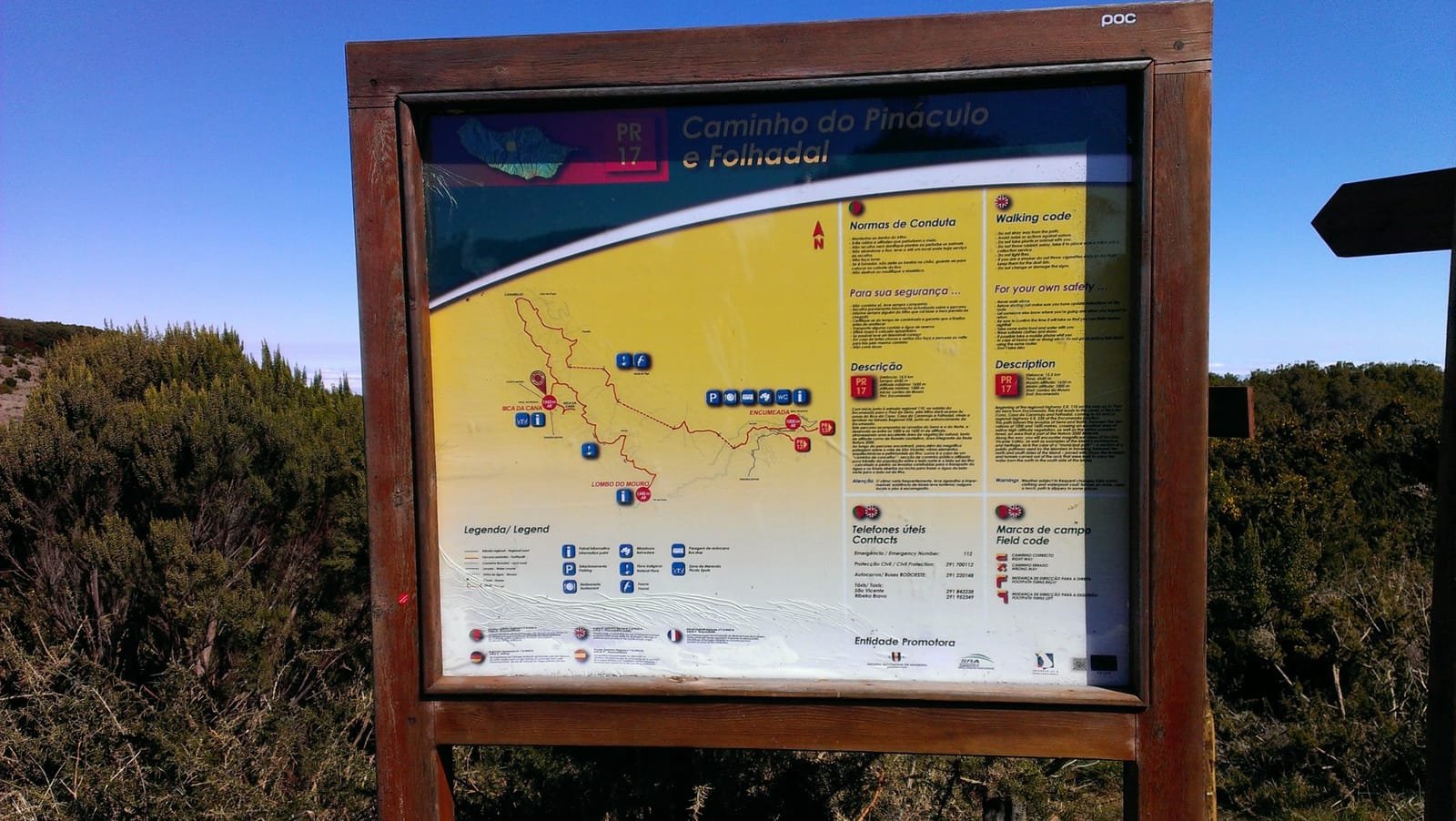Caramujo 12