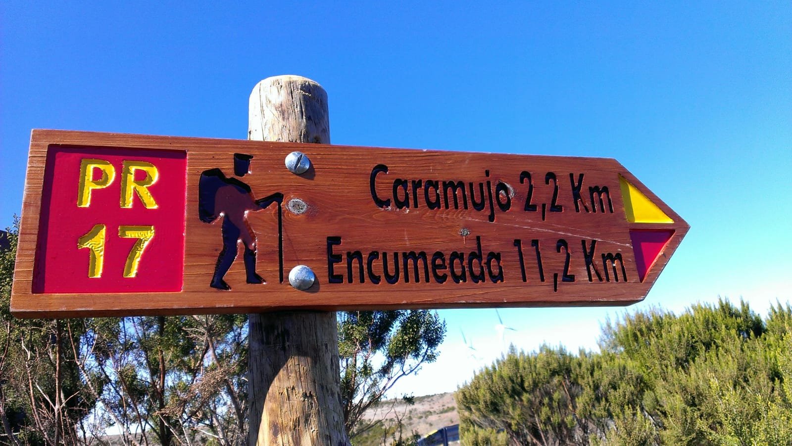 Caramujo 11
