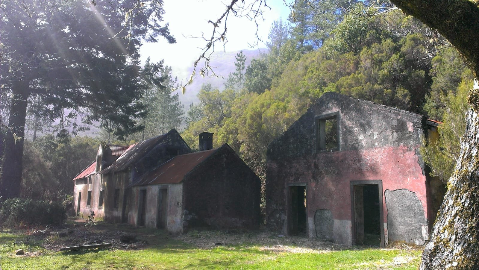Caramujo 5