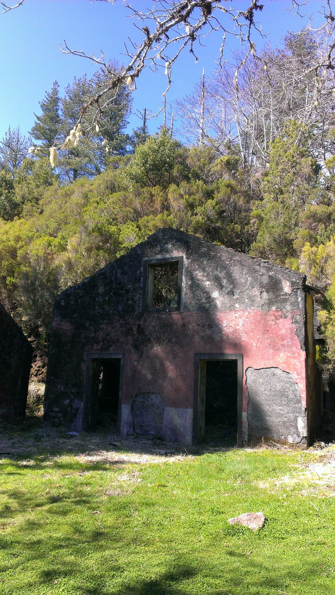 Caramujo 7