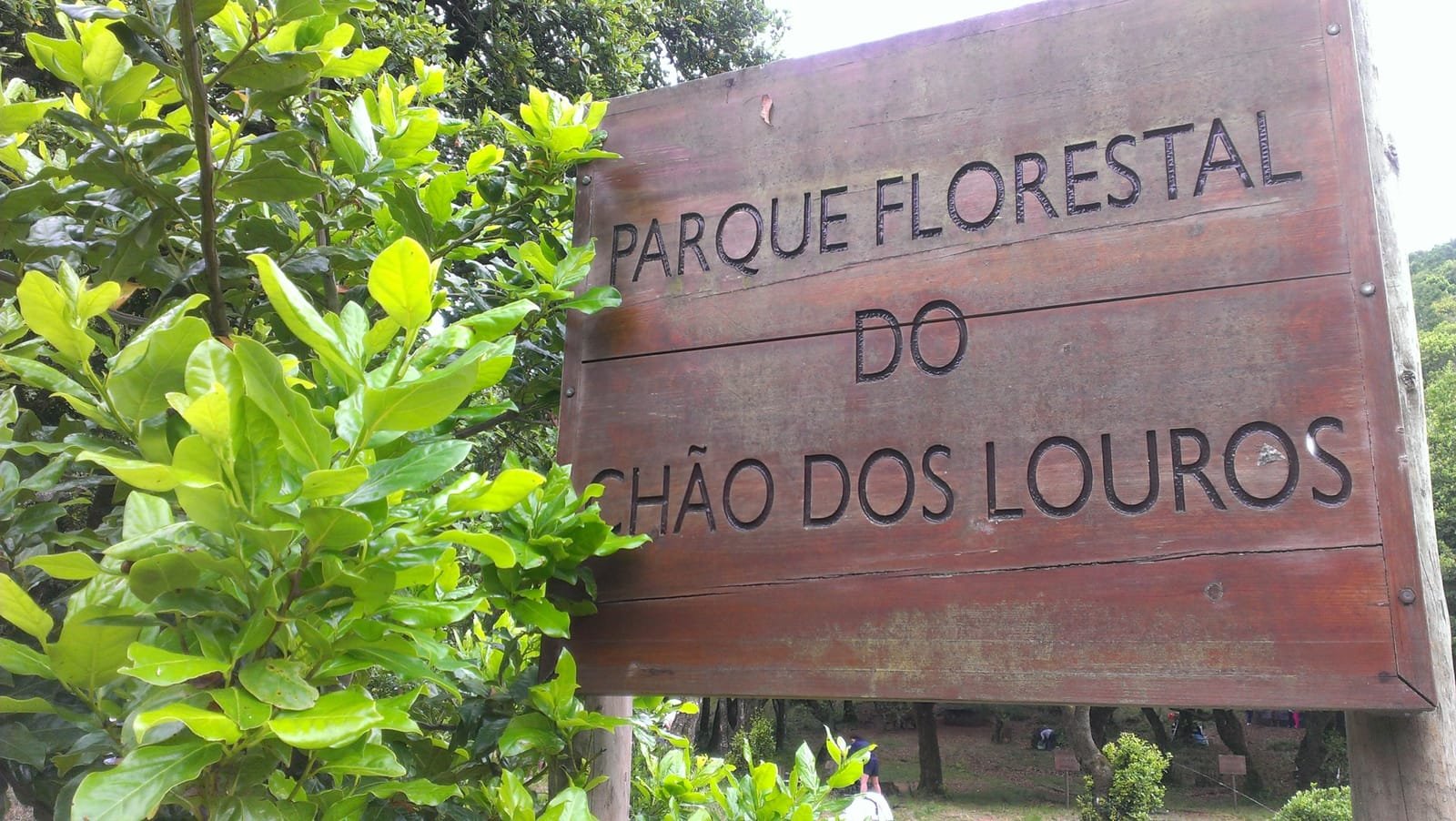 Chão dos Louros 15