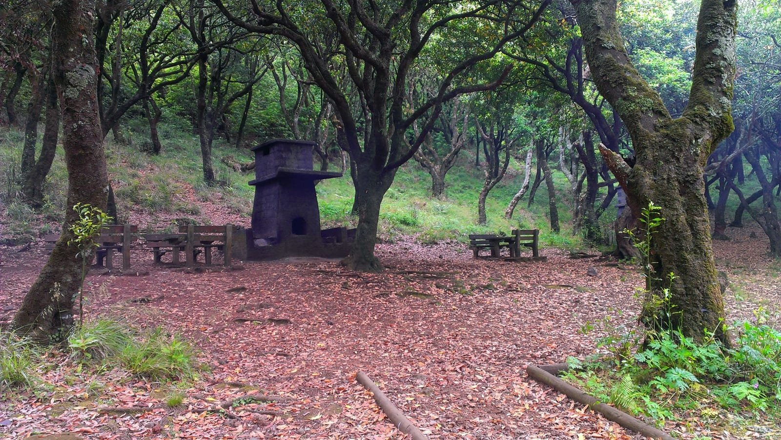 Chão dos Louros 12