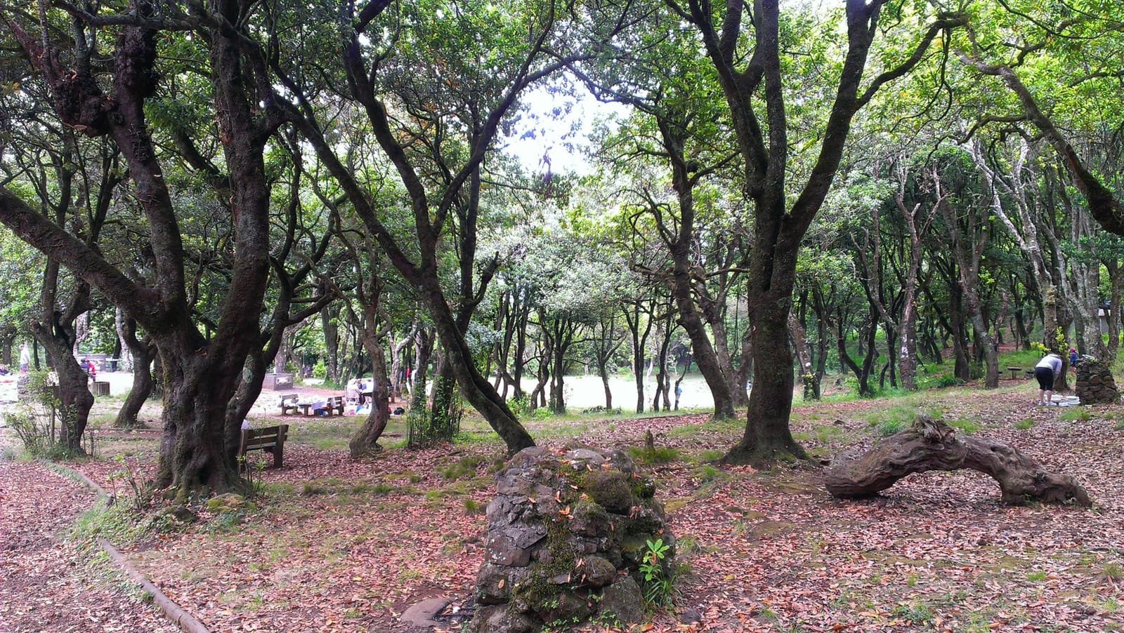 Chão dos Louros 11