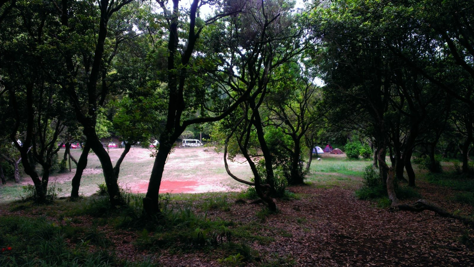 Chão dos Louros 3