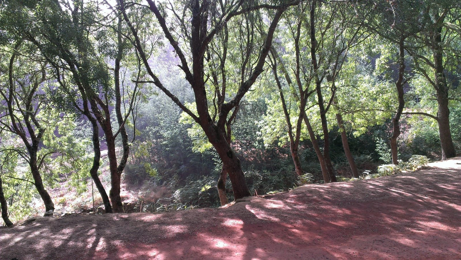 Carreiras 3