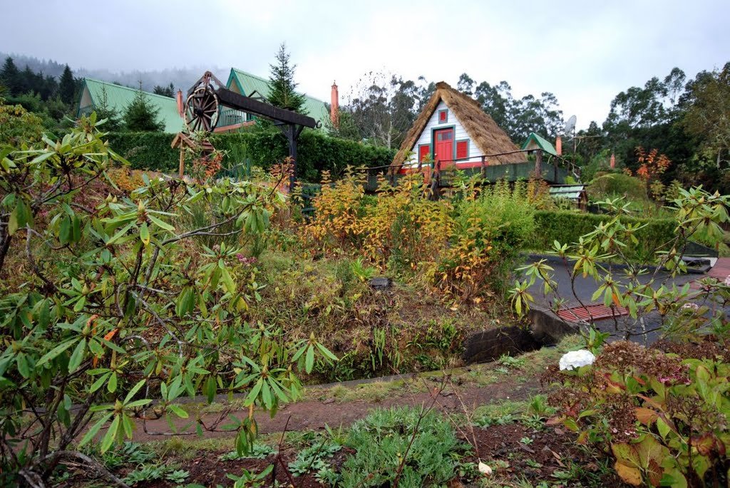 Parque Florestal do Pico das Pedras