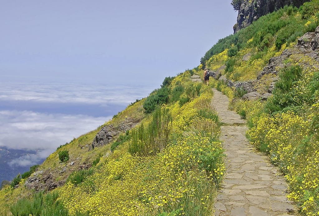 Pico Ruivo 10