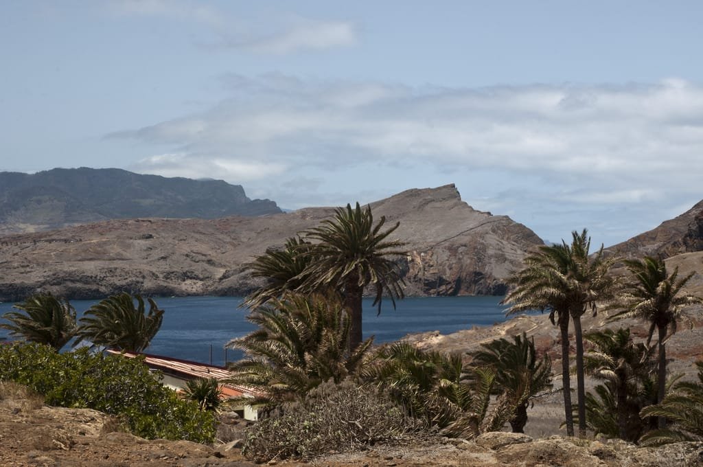 Ponta de São Lourenço 9