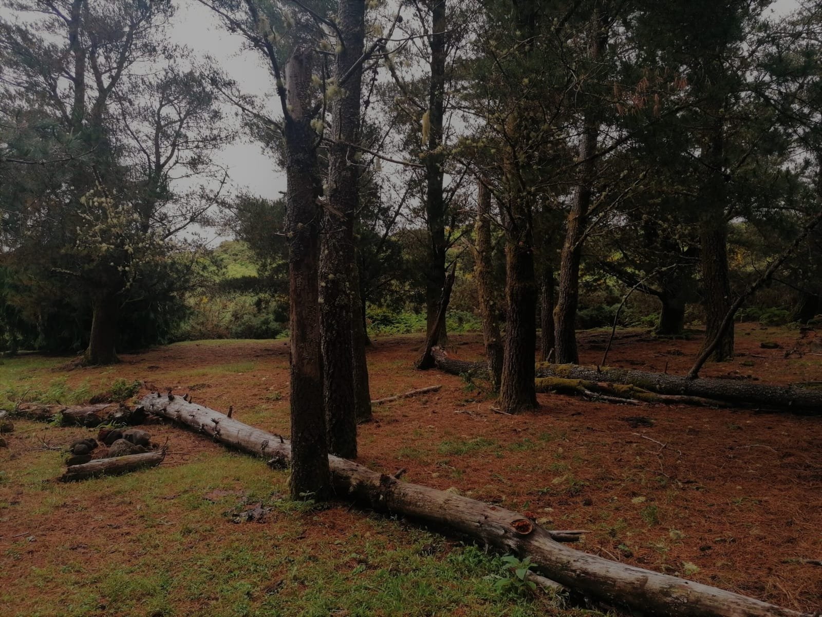 Ribeira do Alecrim 1