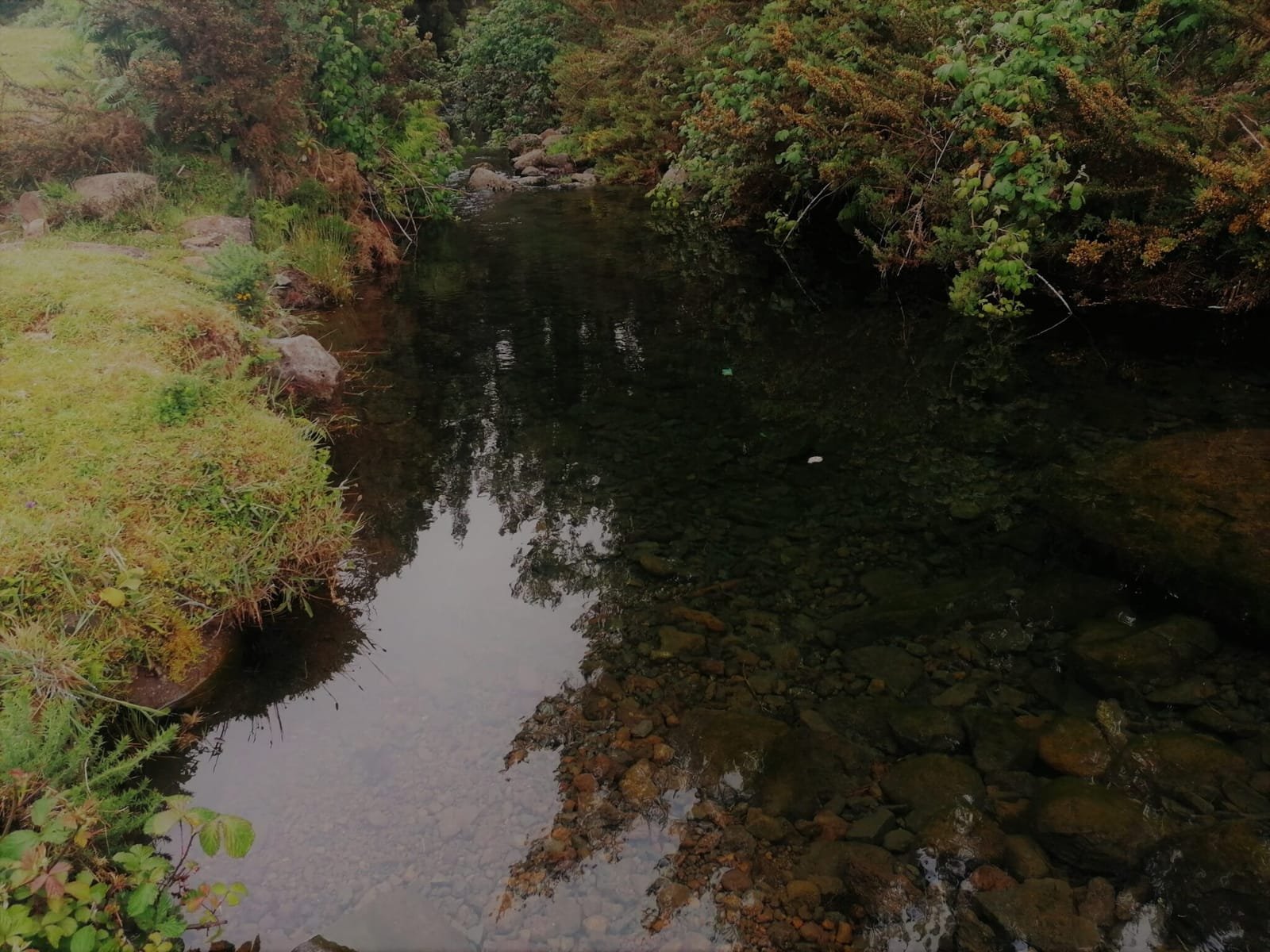 Ribeira do Alecrim 4