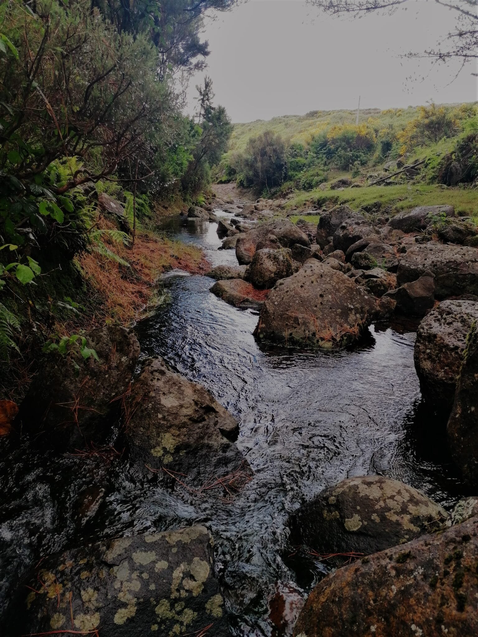 Ribeira do Alecrim
