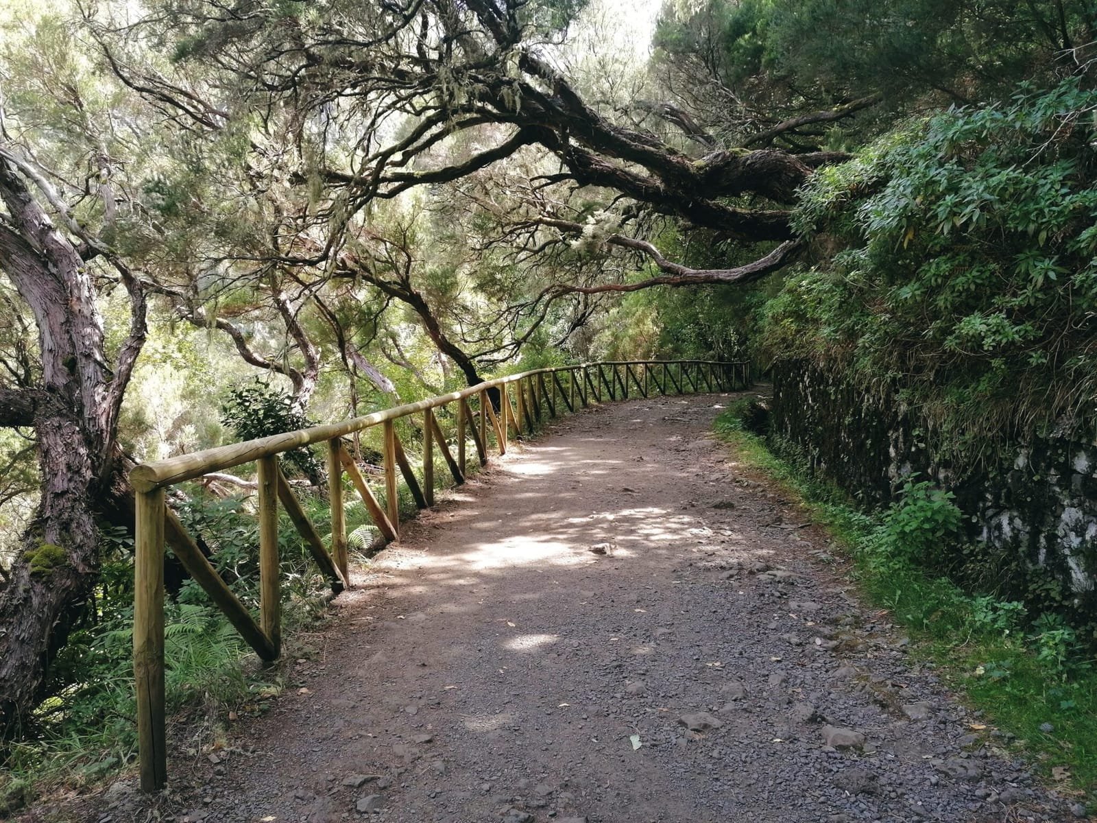 Fenced levada path winding through the forest towards Levada do Risco